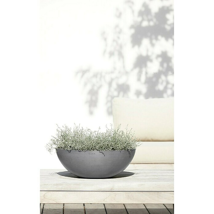 Ecopots Pflanzschale Vienna (Außenmaß (Ø x H): 50,4 x 18,5 cm, Grau) | BAUHAUS