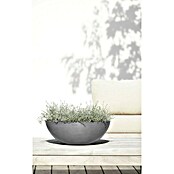 Ecopots Pflanzschale Vienna (Außenmaß (Ø x H): 50,4 x 18,5 cm, Grau) | BAUHAUS