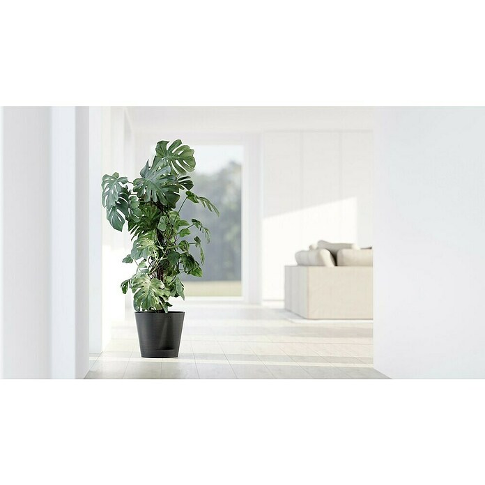 Ecopots Pflanztopf Venice 2 (Außenmaß (Ø x H): 30 x 27,5 cm, Kunststoff, Dunkelgrau) | BAUHAUS