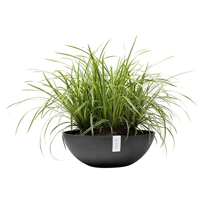 Ecopots Pflanzschale Vienna (Außenmaß (Ø x H): 50,4 x 18,5 cm, Dunkelgrau) | BAUHAUS