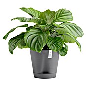 Ecopots Pflanztopf Venice 2 (Außenmaß (Ø x H): 30 x 27,5 cm, Kunststoff, Grau) | BAUHAUS