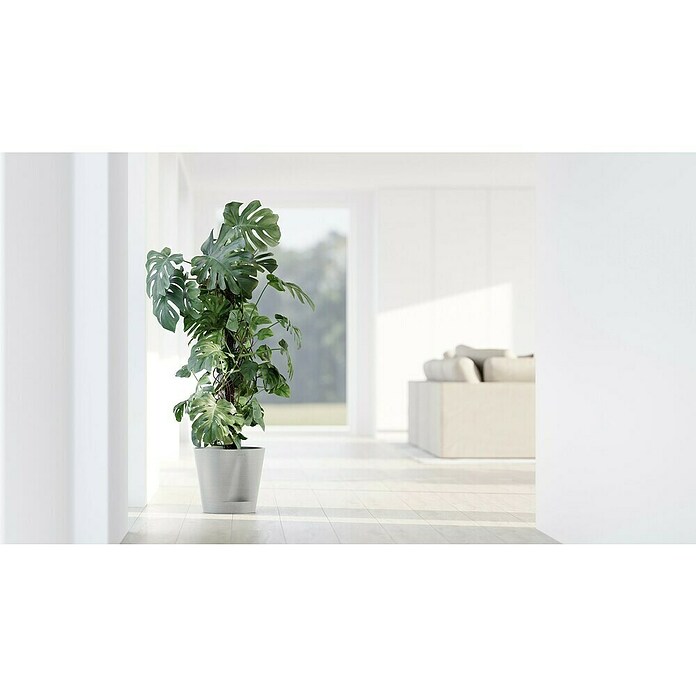 Ecopots Pflanztopf Venice 2 (Außenmaß (Ø x H): 30 x 27,5 cm, Kunststoff, Weiß Grau) | BAUHAUS