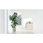Ecopots Pflanztopf Venice 2 (Außenmaß (Ø x H): 30 x 27,5 cm, Kunststoff, Weiß Grau) | BAUHAUS