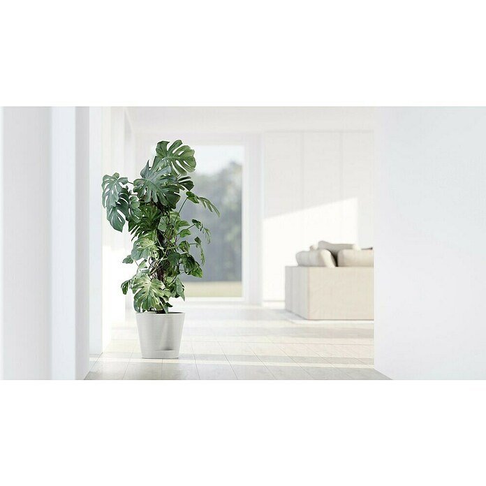 Ecopots Pflanztopf Venice 2 (Außenmaß (Ø x H): 30 x 27,5 cm, Kunststoff, Weiß) | BAUHAUS
