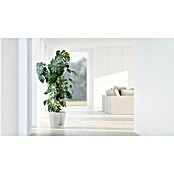 Ecopots Pflanztopf Venice 2 (Außenmaß (Ø x H): 30 x 27,5 cm, Kunststoff, Weiß) | BAUHAUS