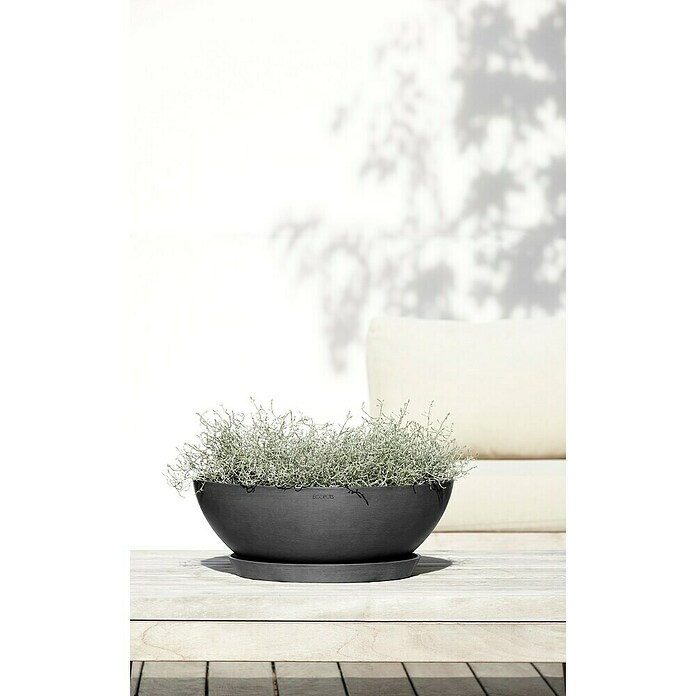 Ecopots Pflanzschale Vienna (Außenmaß (Ø x H): 50,4 x 18,5 cm, Dunkelgrau) | BAUHAUS