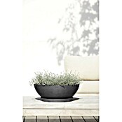 Ecopots Pflanzschale Vienna (Außenmaß (Ø x H): 50,4 x 18,5 cm, Dunkelgrau) | BAUHAUS