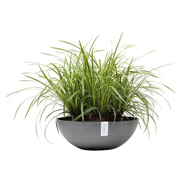 Ecopots Pflanzschale Vienna (Außenmaß (Ø x H): 50,4 x 18,5 cm, Grau) | BAUHAUS