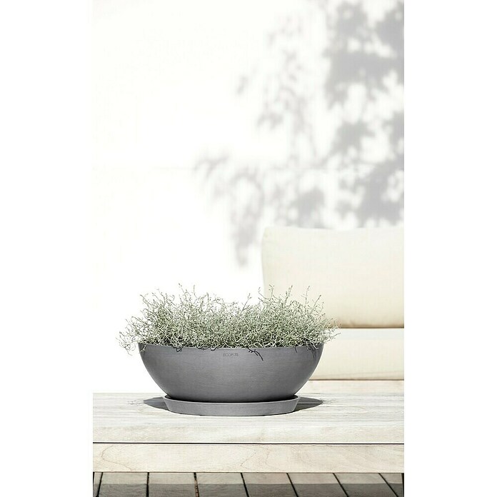 Ecopots Pflanzschale Vienna (Außenmaß (Ø x H): 50,4 x 18,5 cm, Grau) | BAUHAUS