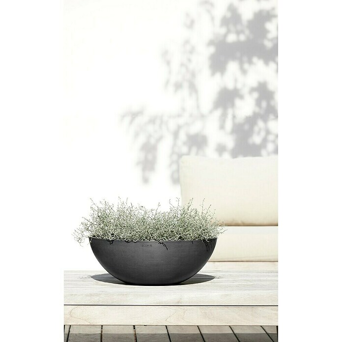 Ecopots Pflanzschale Vienna (Außenmaß (Ø x H): 50,4 x 18,5 cm, Dunkelgrau) | BAUHAUS