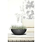 Ecopots Pflanzschale Vienna (Außenmaß (Ø x H): 50,4 x 18,5 cm, Dunkelgrau) | BAUHAUS