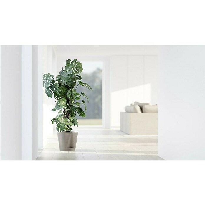 Ecopots Pflanztopf Venice 2 (Außenmaß (Ø x H): 30 x 27,5 cm, Kunststoff, Taupe) | BAUHAUS