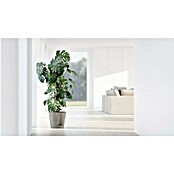 Ecopots Pflanztopf Venice 2 (Außenmaß (Ø x H): 30 x 27,5 cm, Kunststoff, Taupe) | BAUHAUS