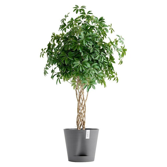 Ecopots Pflanztopf Venice 2 (Außenmaß (Ø x H): 40 x 35,7 cm, Kunststoff, Grau) | BAUHAUS
