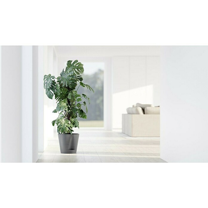 Ecopots Pflanztopf Venice 2 (Außenmaß (Ø x H): 30 x 27,5 cm, Kunststoff, Grau) | BAUHAUS