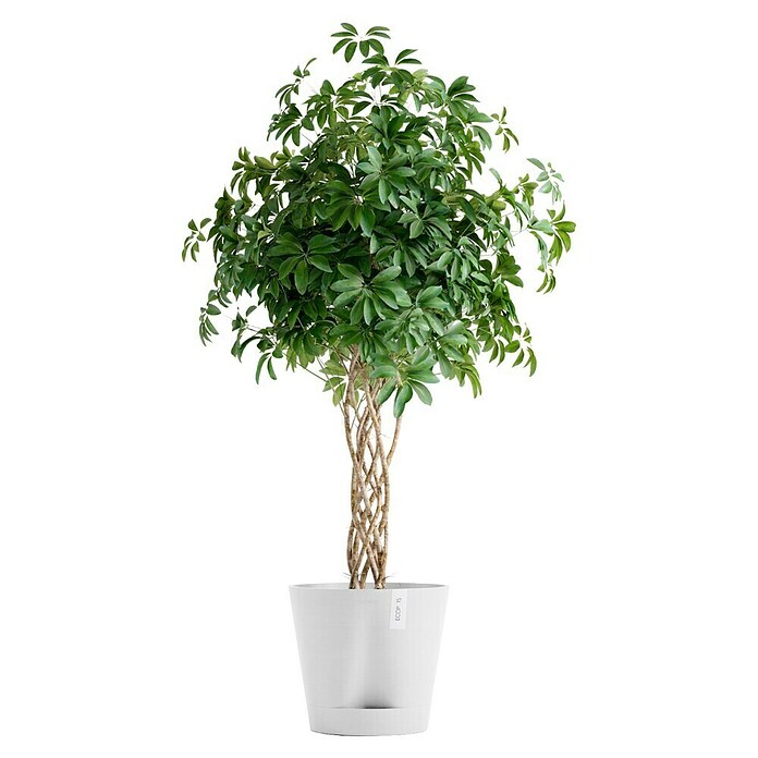 Ecopots Pflanztopf Venice 2 (Außenmaß (Ø x H): 40,2 x 35,7 cm, Kunststoff, Weiß) | BAUHAUS