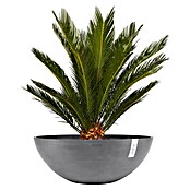 Ecopots Pflanzschale Vienna (Außenmaß (Ø x H): 70 x 25,3 cm, Grau) | BAUHAUS