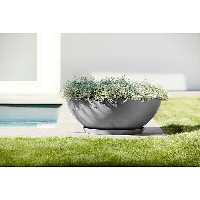 Ecopots Pflanzschale Vienna (Außenmaß (Ø x H): 70 x 25,3 cm, Grau) | BAUHAUS
