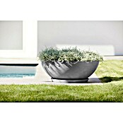 Ecopots Pflanzschale Vienna (Außenmaß (Ø x H): 70 x 25,3 cm, Grau) | BAUHAUS