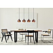 Globo Pendelleuchte Maxy (E27, 40 W, L x B x H: 1 000 x 180 x 1 200 mm, Klar, Kupferfarben, Schwarz, Schwarz-Chrom) | BAUHAUS