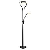 Globo Podna LED svjetiljka Ebro  (20 W, Crna, Topla bijela, D x Š x V: 35 x 30 x 194 cm) | BAUHAUS