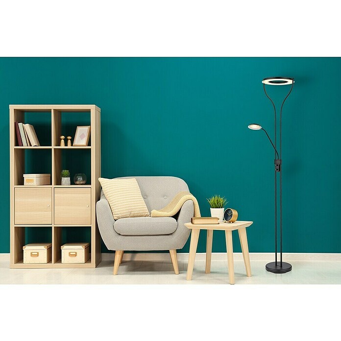 Globo Podna LED svjetiljka Ebro  (20 W, Crna, Topla bijela, D x Š x V: 35 x 30 x 194 cm) | BAUHAUS