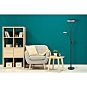 Globo Podna LED svjetiljka Ebro  (20 W, Crna, Topla bijela, D x Š x V: 35 x 30 x 194 cm) | BAUHAUS