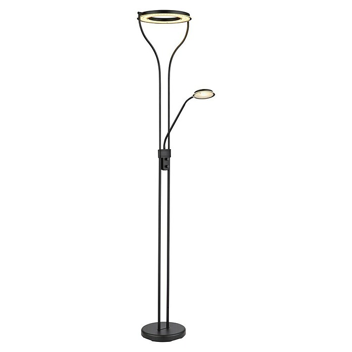 Globo Lámpara de pie LED Lila (20 W, Negro, Blanco cálido, L x An x Al: 35 x 30 x 194 cm) | BAUHAUS