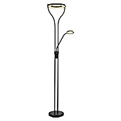 Globo Lámpara de pie LED Lila (20 W, Negro, Blanco cálido, L x An x Al: 35 x 30 x 194 cm) | BAUHAUS
