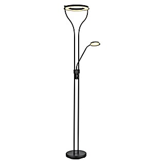 Globo Lámpara de pie LED Lila (20 W, Negro, Blanco cálido, L x An x Al: 35 x 30 x 194 cm)