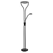 Globo Podna LED svjetiljka Ebro  (20 W, Crna, Topla bijela, D x Š x V: 35 x 30 x 194 cm) | BAUHAUS