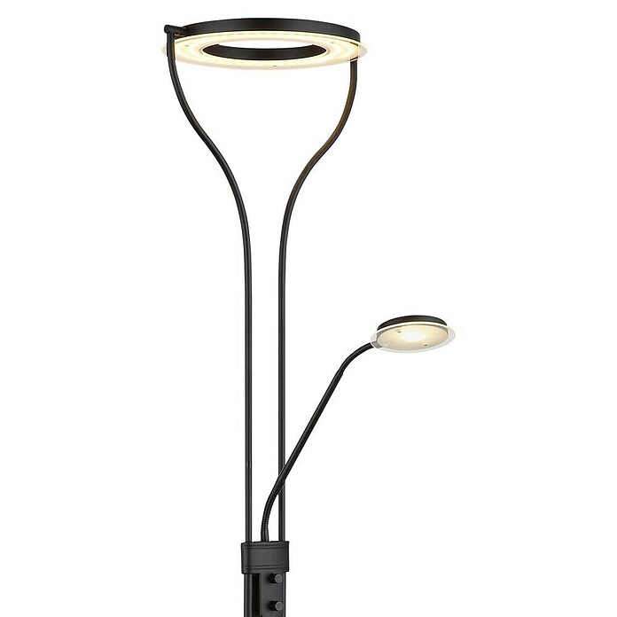 Globo Podna LED svjetiljka Ebro  (20 W, Crna, Topla bijela, D x Š x V: 35 x 30 x 194 cm) | BAUHAUS