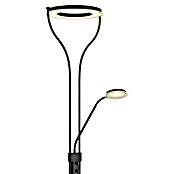Globo Podna LED svjetiljka Ebro  (20 W, Crna, Topla bijela, D x Š x V: 35 x 30 x 194 cm) | BAUHAUS