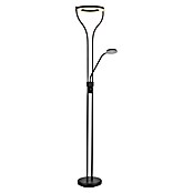 Globo Podna LED svjetiljka Ebro  (20 W, Crna, Topla bijela, D x Š x V: 35 x 30 x 194 cm) | BAUHAUS
