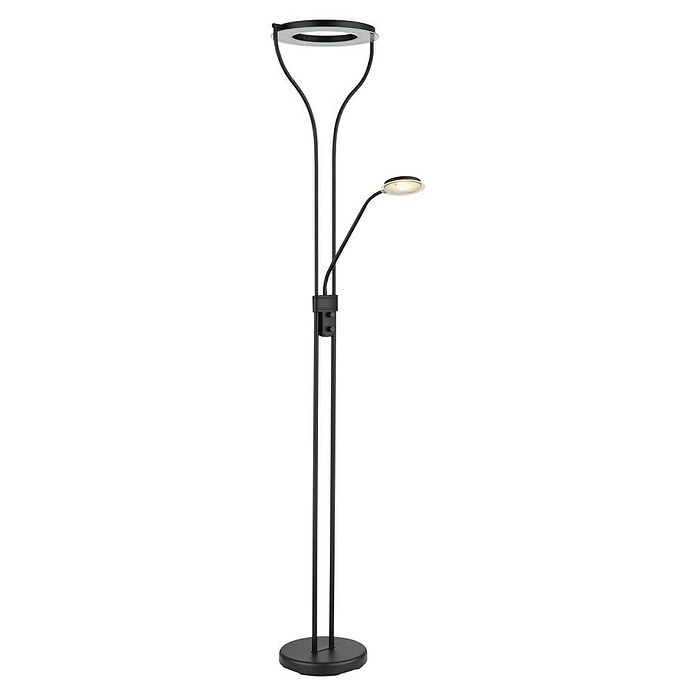 Globo Lámpara de pie LED Lila (20 W, Negro, Blanco cálido, L x An x Al: 35 x 30 x 194 cm) | BAUHAUS