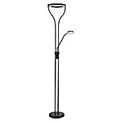 Globo Lámpara de pie LED Lila (20 W, Negro, Blanco cálido, L x An x Al: 35 x 30 x 194 cm) | BAUHAUS