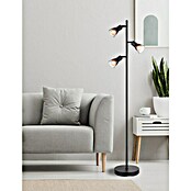 Globo Stehleuchte Satella (25 W, Schwarz, E14, L x B x H: 300 x 220 x 1 610 mm) | BAUHAUS