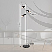 Globo Stehleuchte Satella (25 W, Schwarz, E14, L x B x H: 300 x 220 x 1 610 mm) | BAUHAUS