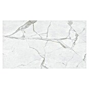 Inspiro Wandtegel Eclipse Gloss PVC (75 x 45 cm, Grijs) | BAUHAUS