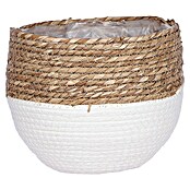 Maceta con interior de plástico Jorck (Dimensiones externas (Ø x Al): 22 x 19 cm, Materiales naturales, Blanco/Natural) | BAUHAUS