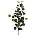 Kunstpflanze Eucalyptus 