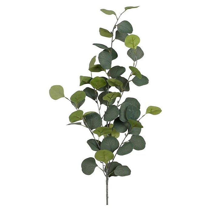 Kunstpflanze Eucalyptus (90 cm, Grün, Kunststoff) | BAUHAUS