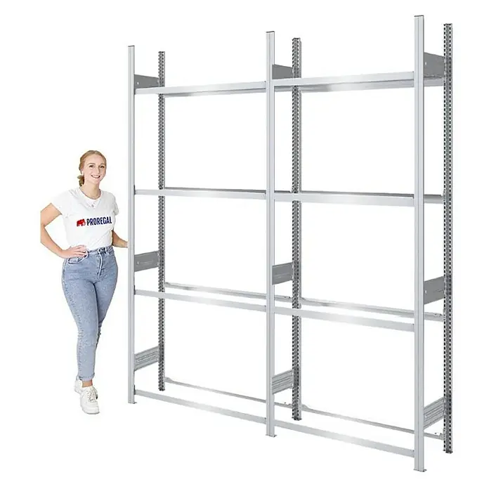 Proregal Reifenregal TIRE PRO - H x B x T: 250 x 200 x 43 cm, Stecken, Verzinkt