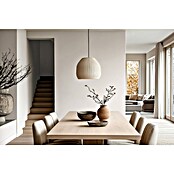 Bruguer Elegance Pintura para paredes (Blanco piedra, Mate, 4 l) | BAUHAUS