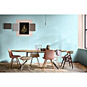 Bruguer Elegance Pintura para paredes (Azul aqua, Mate, 4 l) | BAUHAUS