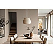 Bruguer Elegance Pintura para paredes (Marrón beige, Mate, 4 l) | BAUHAUS