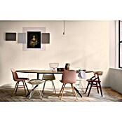 Bruguer Elegance Pintura para paredes (Beige vainilla, Mate, 4 l) | BAUHAUS
