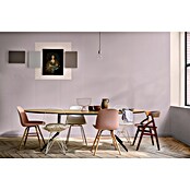 Bruguer Elegance Pintura para paredes (Rosa chic, Mate, 4 l) | BAUHAUS