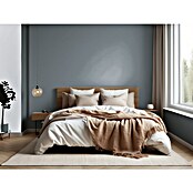 Bruguer Elegance Pintura para paredes (Gris sombra, Mate, 4 l) | BAUHAUS