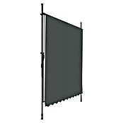 Sunfun Tenda s nosačem  (Antracit, Širina: 3 m, Izvlačenje: 1,3 m) | BAUHAUS
